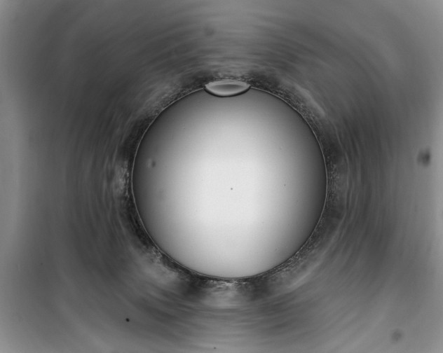 X0000100360083200806131024