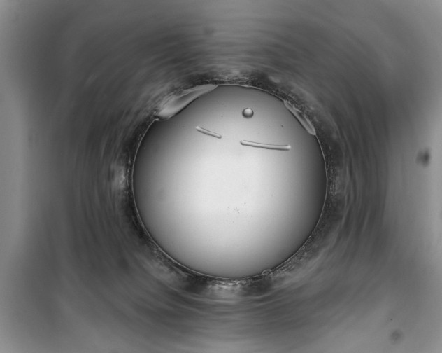 X0000100360084200806131024