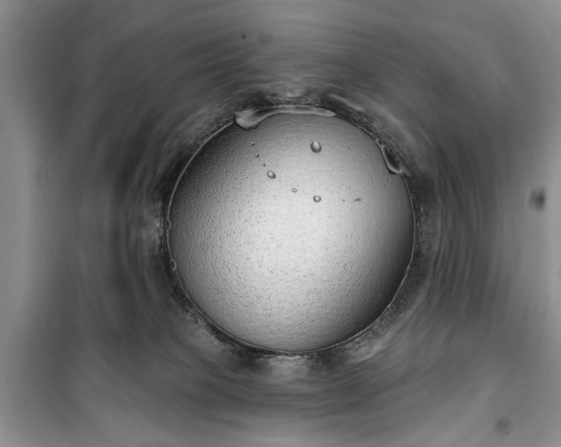 X0000100360085200806131024