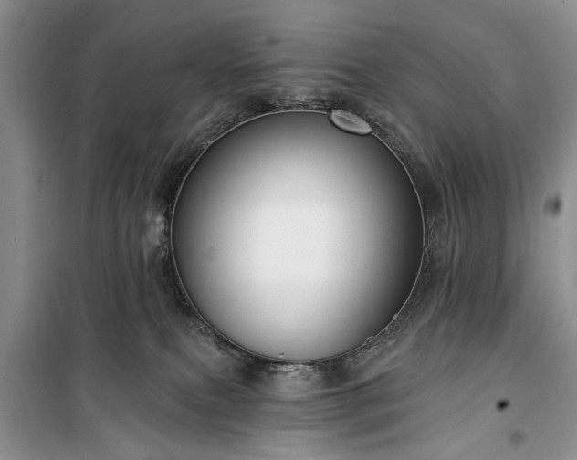 X0000100360087200806131024