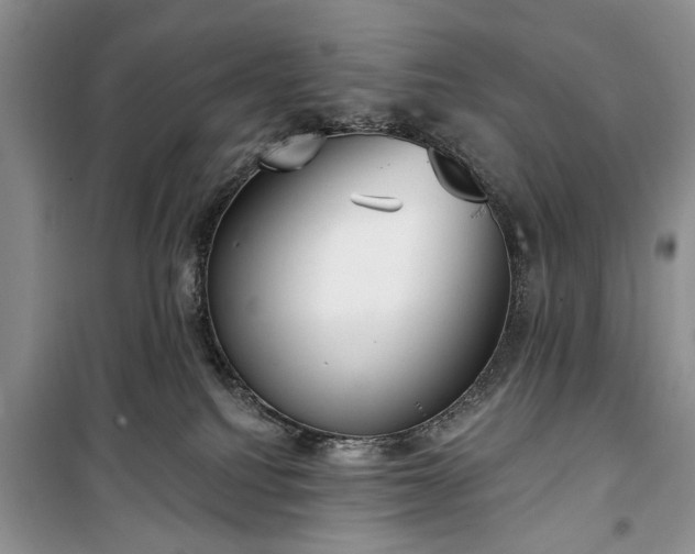 X0000100360088200806131024