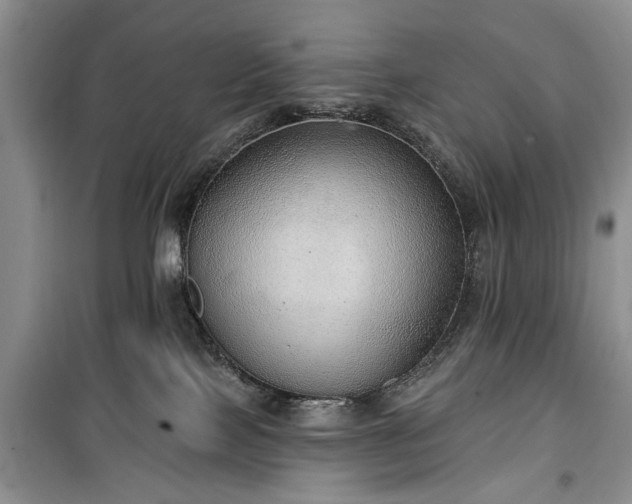 X0000100360089200806131024