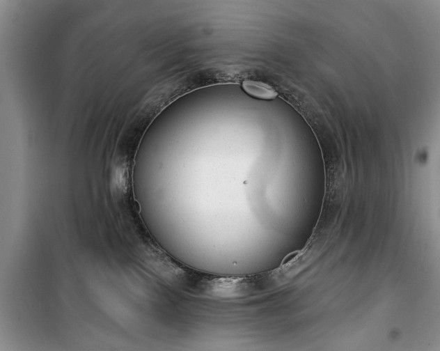 X0000100360090200806131024