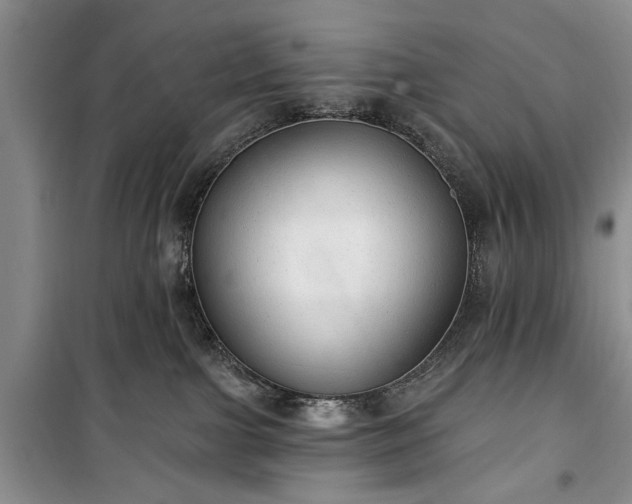 X0000100360091200806131024