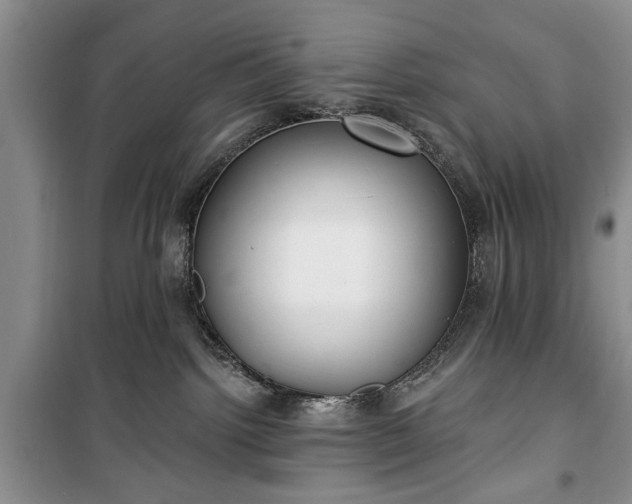 X0000100360092200806131024