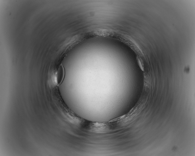 X0000100360095200806131024