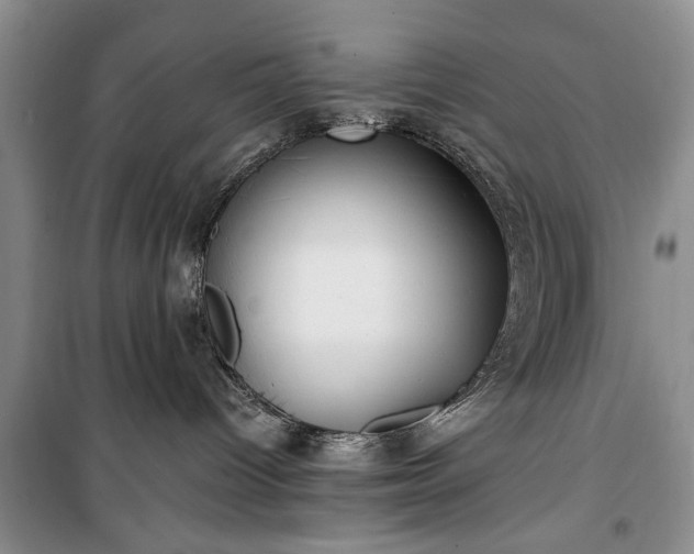 X0000100360096200806131024