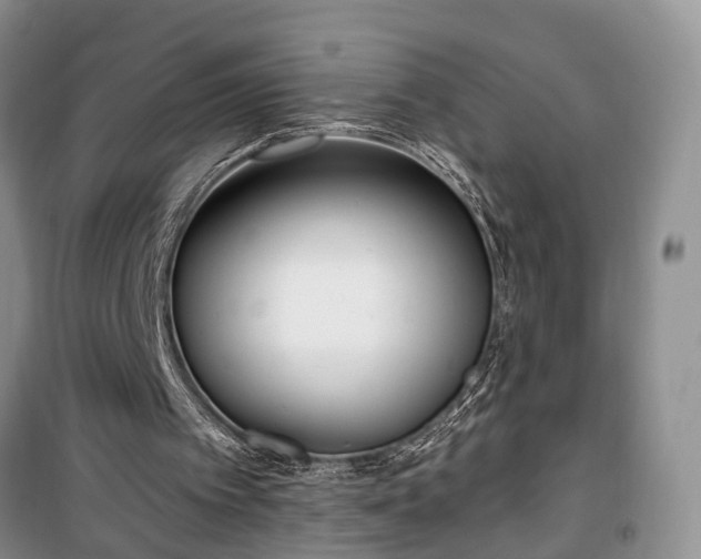 X0000100360097200806131024