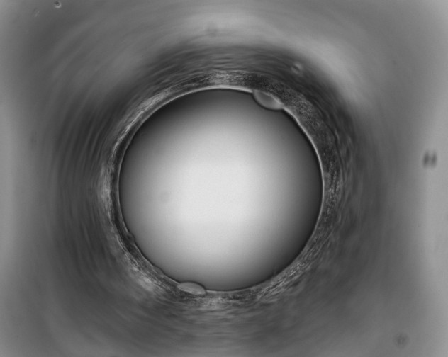 X0000100360098200806131024