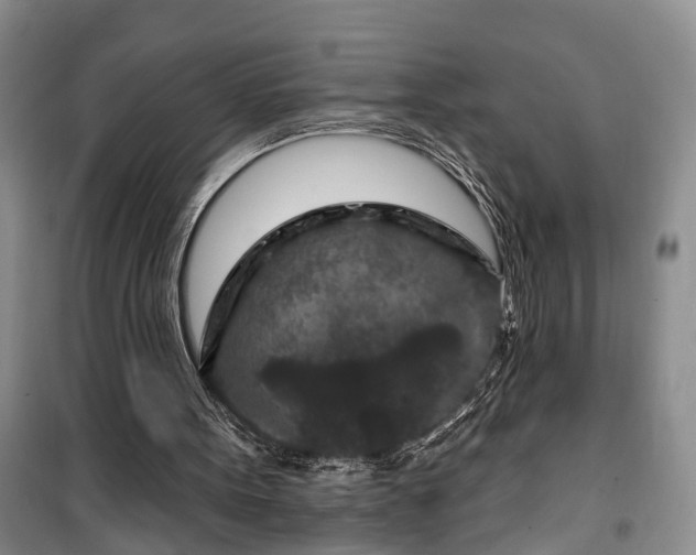 X0000100360099200806131024