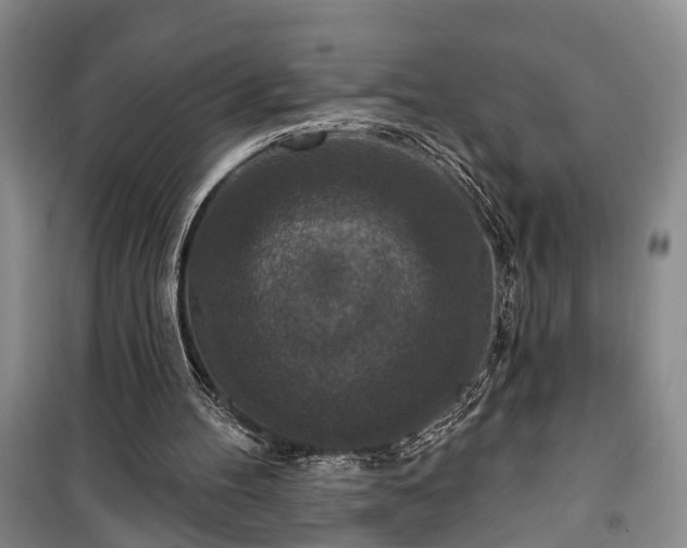 X0000100360100200806131024