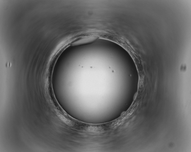 X0000100360101200806131024