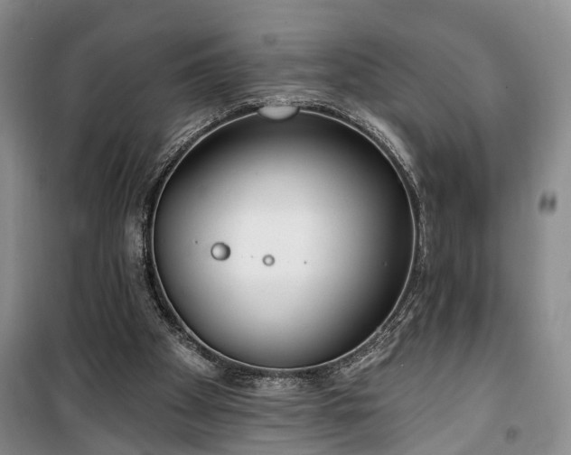 X0000100360105200806131024