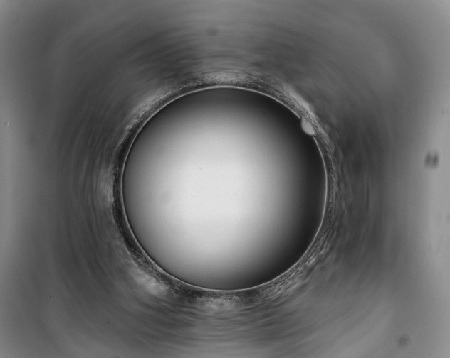 X0000100360106200806131024