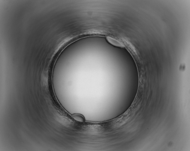 X0000100360108200806131024