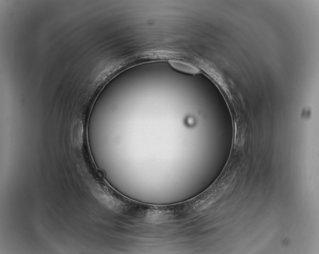 X0000100360109200806131024