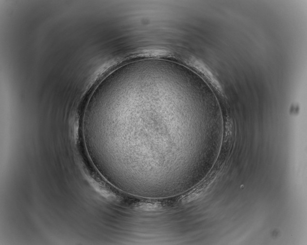 X0000100360110200806131024