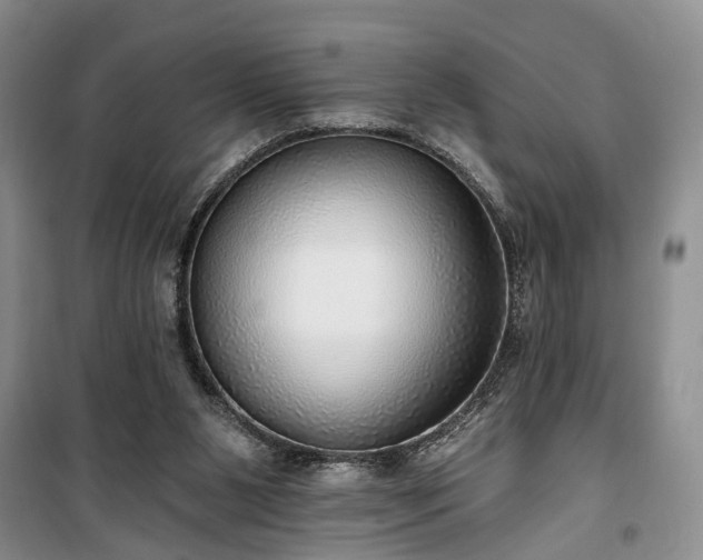 X0000100360111200806131023