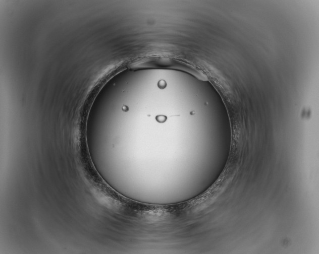 X0000100360112200806131023