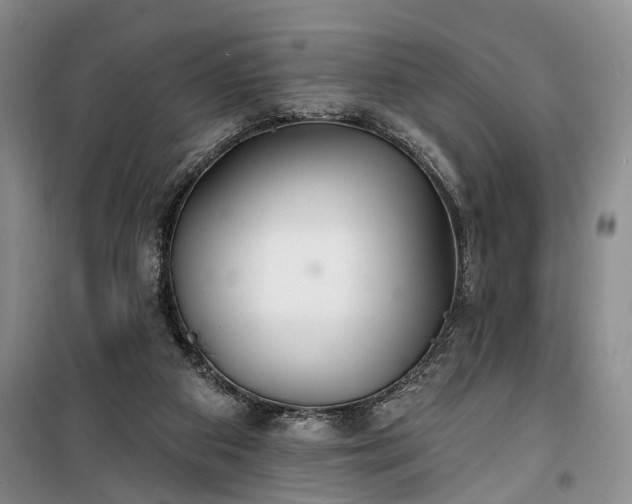 X0000100360113200806131023