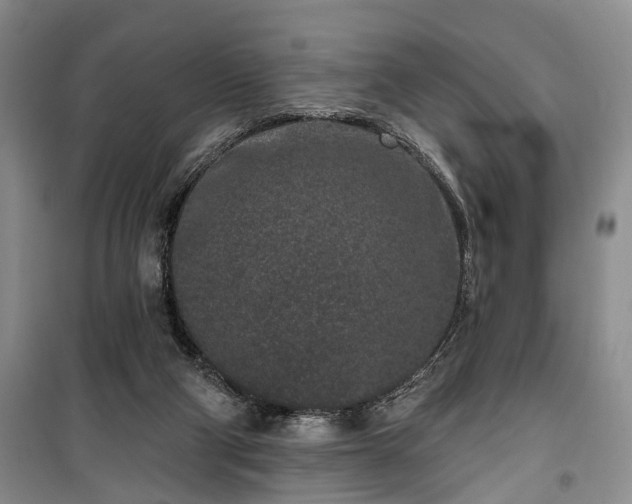 X0000100360114200806131023