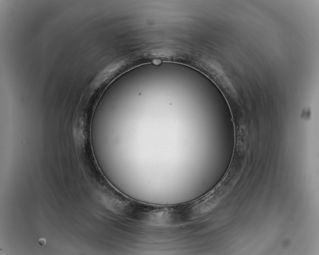 X0000100360116200806131023