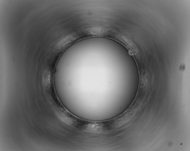 X0000100360117200806131023