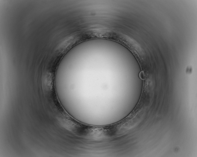 X0000100360121200806131023