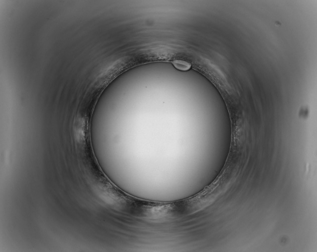 X0000100360122200806131023