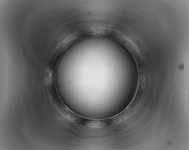 X0000100360123200806131023