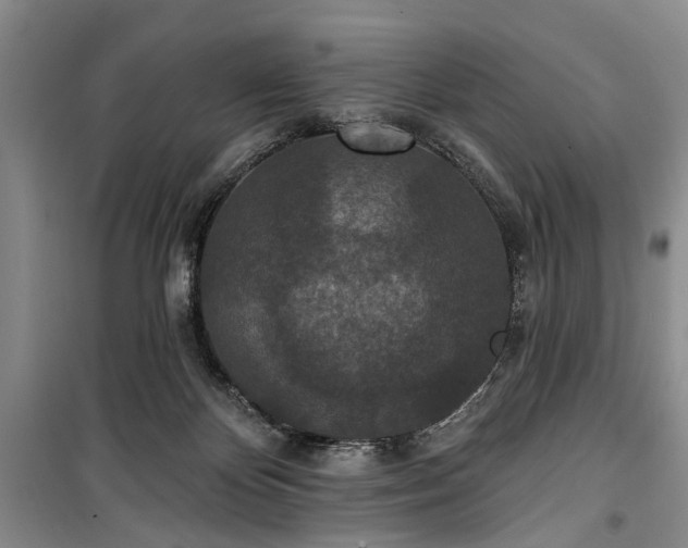 X0000100360124200806131023