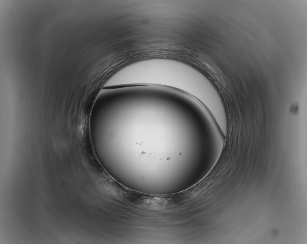 X0000100360125200806131023