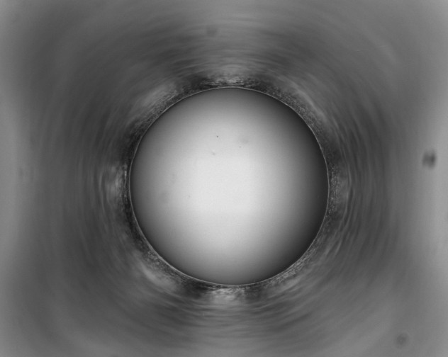 X0000100360126200806131023