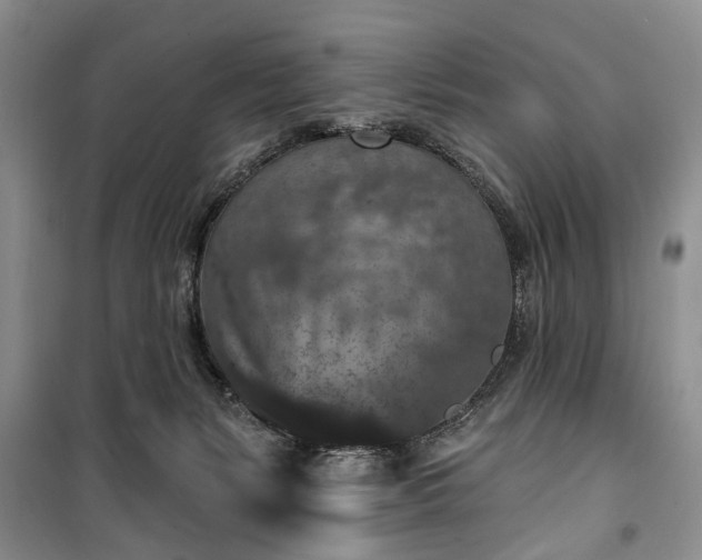 X0000100360127200806131023