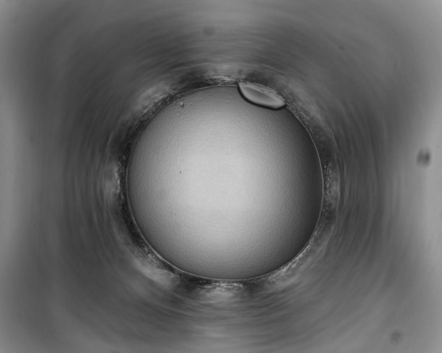 X0000100360128200806131023