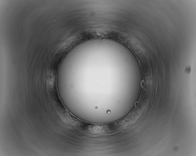 X0000100360129200806131023