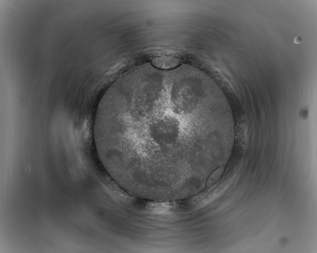 X0000100360131200806131023