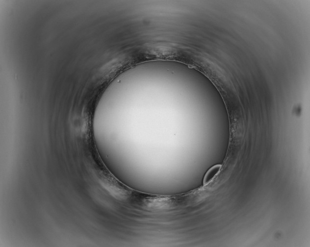 X0000100360132200806131023