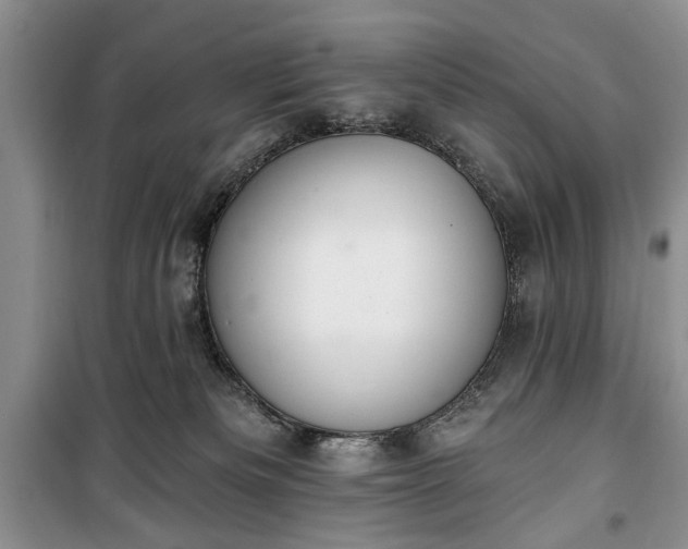 X0000100360133200806131023