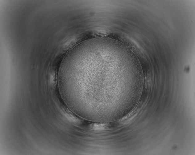 X0000100360134200806131023