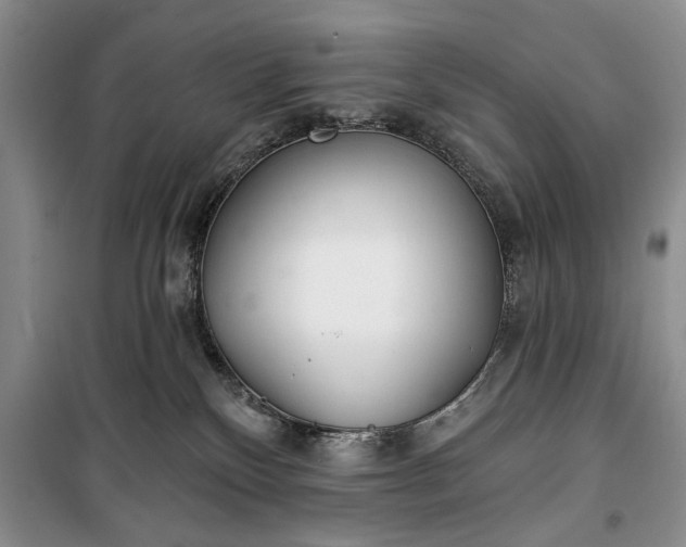 X0000100360136200806131023