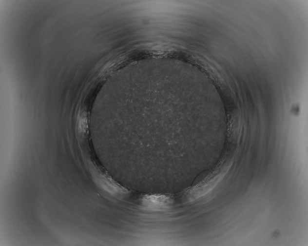 X0000100360137200806131023