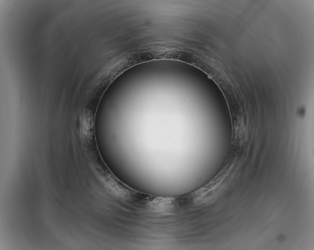 X0000100360138200806131023