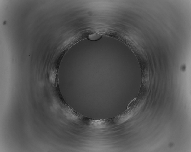 X0000100360139200806131023