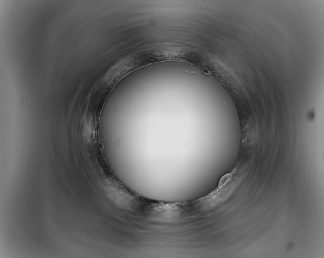 X0000100360140200806131023