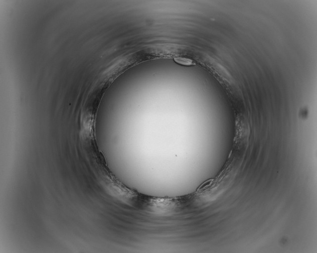 X0000100360141200806131023