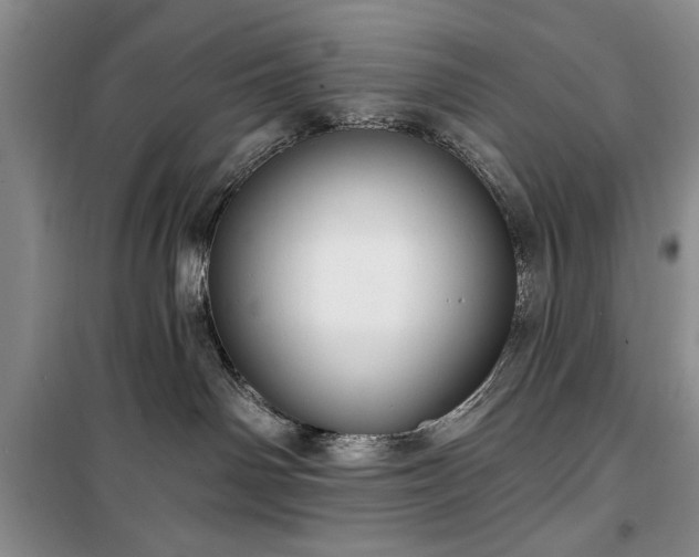 X0000100360142200806131023