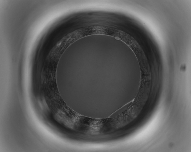 X0000100360143200806131023