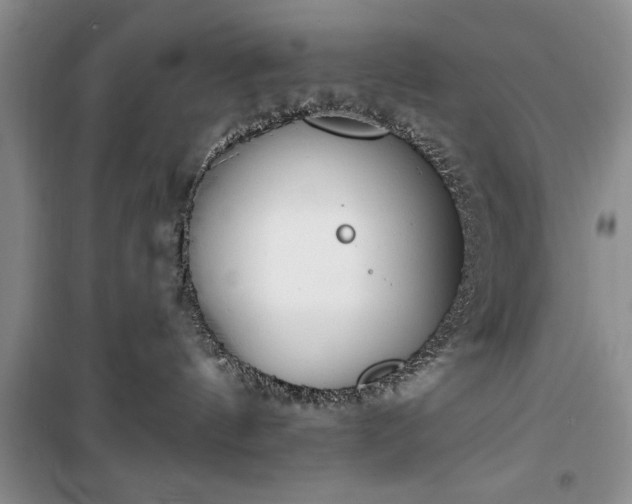 X0000100360144200806131023