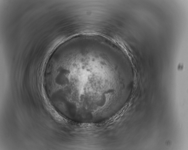 X0000100360145200806131022